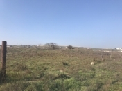 Satılır 42 sot torpaq Zirə