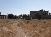 Satılır 16 sot torpaq Xaşaxuna