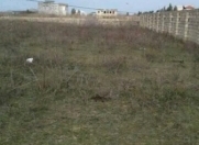 Satılır 12 sot torpaq Albalı