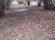 Satılır 12 sot torpaq Samux