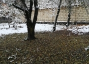Satılır 3 sot torpaq Qəbələ