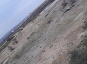 Satılır 105 sot torpaq Saray