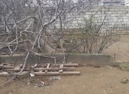 Satılır 3 sot torpaq Badamdar