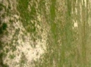 Satılır 3 sot torpaq Maştağa