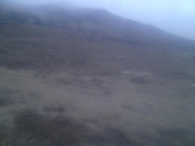 Satılır 8 sot torpaq Xızı