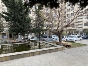 Satılır 6 otaqlı 172 m2 köhnə tikili İçəri Şəhər m.