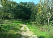 Satılır 17 sot torpaq Həzi Aslanov