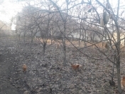 Satılır 7 sot torpaq Göyçay