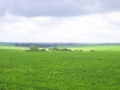 Satılır 55 sot torpaq Mehdiabad