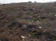 Satılır 100 sot torpaq Masazır