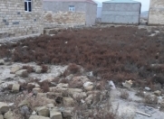 Satılır 6 sot torpaq Lökbatan