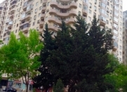 Satılır 3 otaqlı 102 m2 yeni tikili 8 km