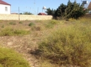 Satılır 42 sot torpaq Nardaran