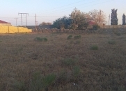 Satılır 25 sot torpaq Türkan