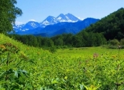 Satılır 54 sot torpaq Zaqatala