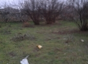 Satılır 12 sot torpaq Maştağa