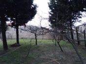 Satılır 100 sot torpaq Buzovna