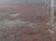 Satılır 2 sot torpaq Kürdəxanı