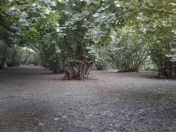 Satılır 18 sot torpaq Oğuz