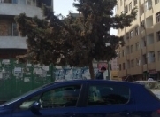 Satılır 1 otaqlı 65 m2 yeni tikili Xırdalan