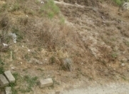 Satılır 3.5 sot torpaq Sulutəpə