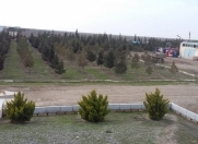 Satılır 40 sot torpaq Salyan