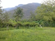 Satılır 10 sot torpaq Qax