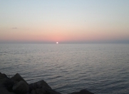 Satılır 330 sot torpaq Türkan