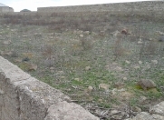 Satılır 10 sot torpaq Türkan