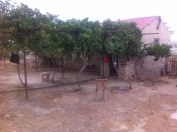 Satılır 250 sot torpaq Məhəmmədli