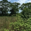 Satılır 57 sot torpaq Xaçmaz