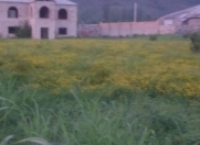 Satılır 4 otaqlı 120 m2 həyət evi Balakən