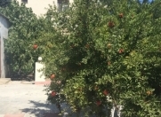 Satılır 4 otaqlı 150 m2 bağ evi Nardaran