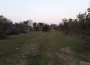 Satılır 120 sot torpaq Buzovna