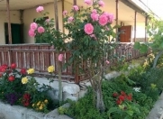 Satılır 3 otaqlı 1800 m2 bağ evi Pirşağı