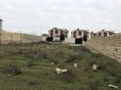 Satılır 6 sot torpaq Mehdiabad