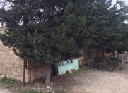 Satılır 6 sot torpaq Şağan