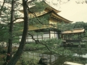 Satılır 5 otaqlı 120 m2 həyət evi Salyan