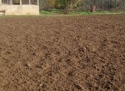 Satılır 42 sot torpaq Bilgəh