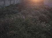 Satılır 4 sot torpaq Zığ