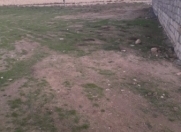 Satılır 3 sot torpaq Məhəmmədli
