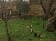 Satılır 3.5 sot torpaq Lökbatan