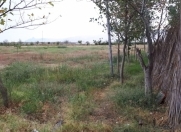 Satılır 30 sot torpaq Nəriman Nərimanov m.