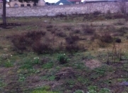 Satılır 48 sot torpaq Mərdəkan