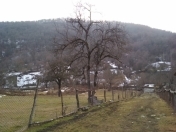 Satılır 24 sot torpaq İsmayıllı