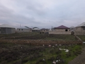 Satılır 7 sot torpaq Saray