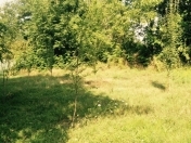 Satılır 10 sot torpaq İsmayıllı