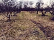 Satılır 200 sot torpaq Xaçmaz