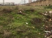 Satılır 30 sot torpaq Xırdalan