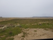 Satılır 20 sot torpaq Novxanı